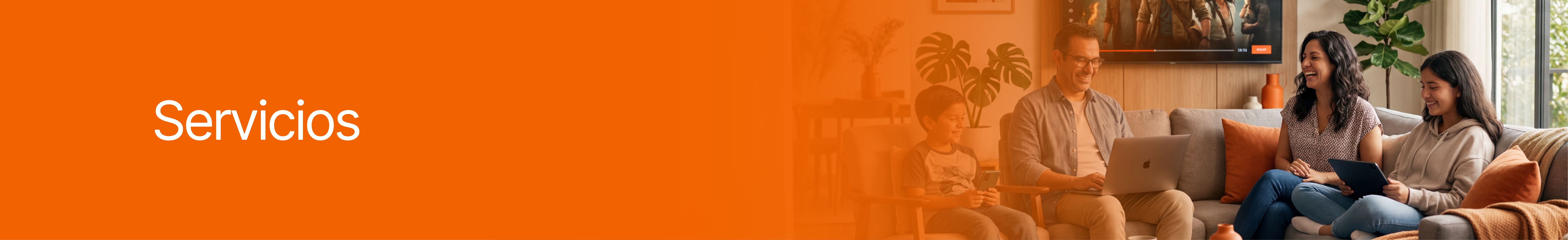 Servicios - CBVision